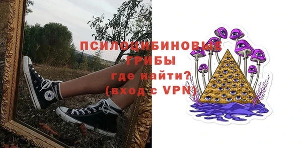 амф Белокуриха