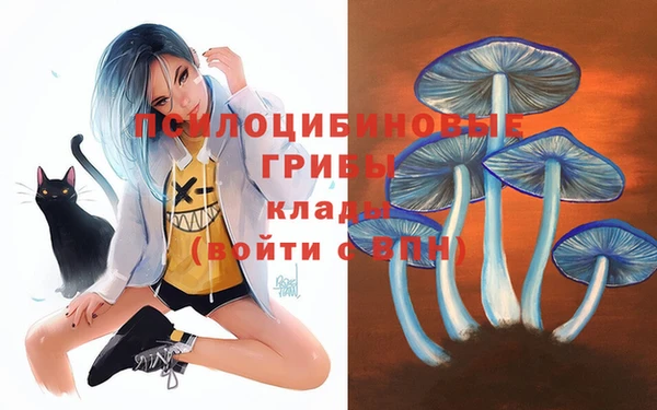 амф Белокуриха