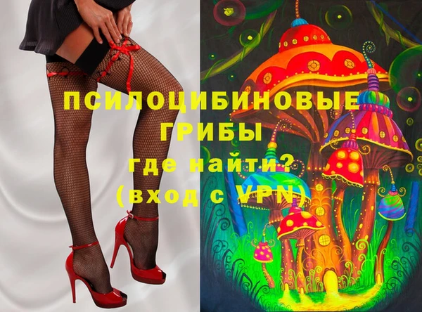 амф Белокуриха