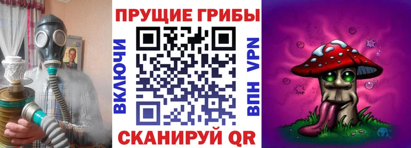 Псилоцибиновые грибы прущие грибы даркнет сайт МЕГА ССЫЛКА Светлогорск